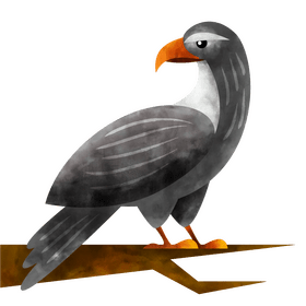 Northern goshawk bird clipart