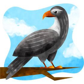 Northern goshawk bird vector