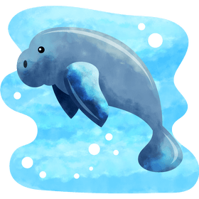 Dugong vector