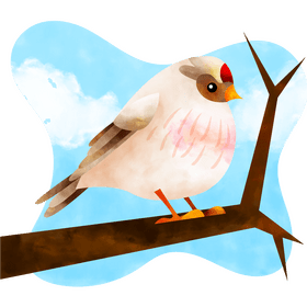 Hoary redpoll bird vector