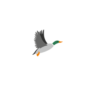 Flying duck clipart