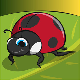 Ladybird vector
