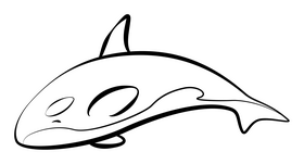 Orca black and white clipart