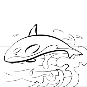 Orca black and white vector