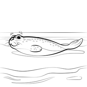 Seal black and white vector