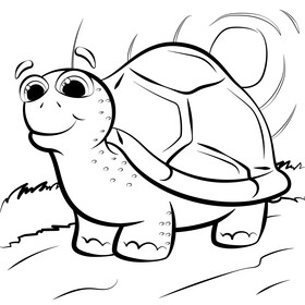 Tortoise black and white vector