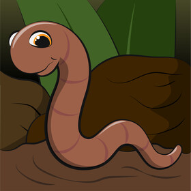 Worm vector