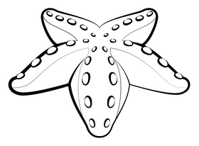 Starfish cartoon black and white clipart