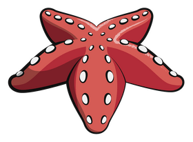 Starfish cartoon clipart