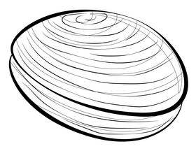 Clam cartoon black and white clipart