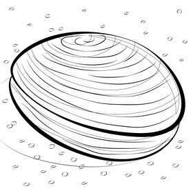 Clam cartoon black and white vector
