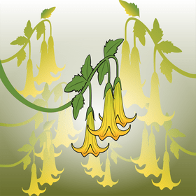 Angel's trumpet flower vector