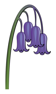 Bluebell clipart