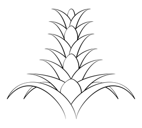 Bromeliad flower black and white clipart