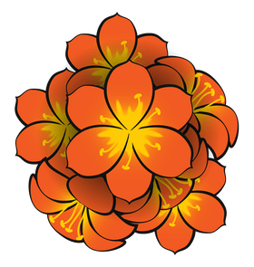 Clivia flower clipart