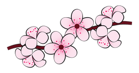 Cherry blossom clipart