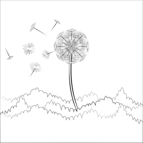 Dandelion black and white vector