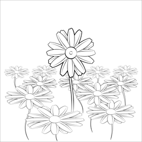 Daisy black and white vector