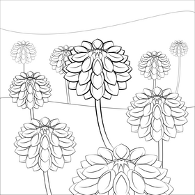 Dahlia black and white vector