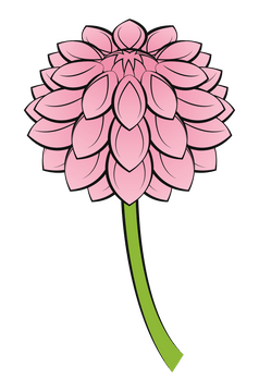 Dahlia clipart