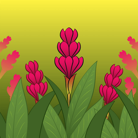 Ginger flower vector