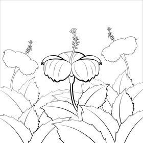 Hibiscus flower black and white vector