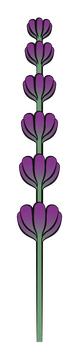 Lavender flower clipart