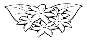 Jasmine flower black and white clipart
