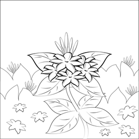 Jasmine flower black and white vector