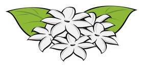 Jasmine flower clipart