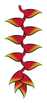 Lobster claws flower clipart