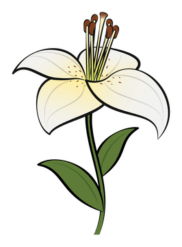 Lily clipart