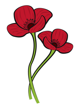 Poppy drawing clipart