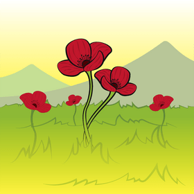 Poppy drawing vector