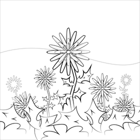 Spanish oyster flower black and white vector