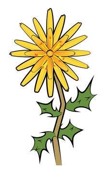 Spanish oyster flower clipart