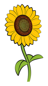 Sunflower vector - for free download