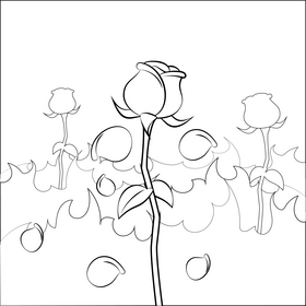 Rose drawing black and white vector