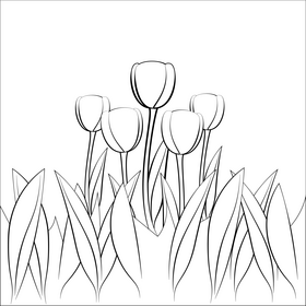 Tulip drawing black and white vector
