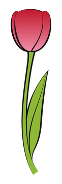 Tulip drawing clipart