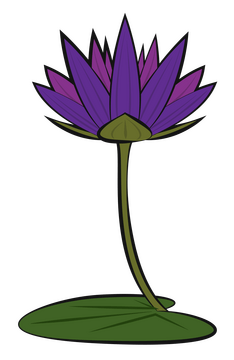 Water lily clipart