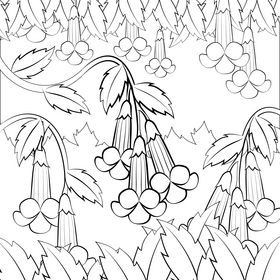 Trumpet creeper flower black and white vector