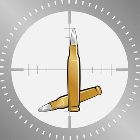 Rifle bullets vector
