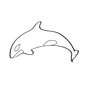 Orca black and white clipart
