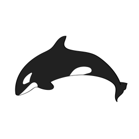Orca clipart