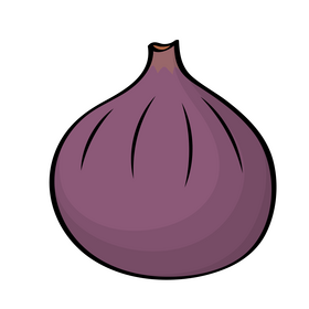 Fig clipart