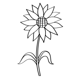 Sunflower black and white clipart