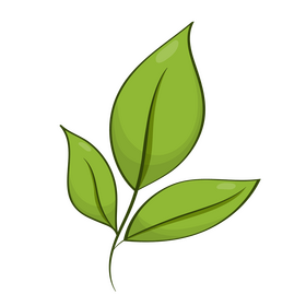 Leaf clipart