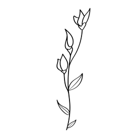 Wildflower black and white clipart