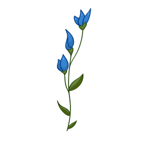 Wildflower clipart